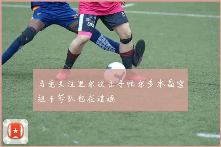 马竞关注里尔攻击手帕尔多水晶宫纽卡等队也在追逐