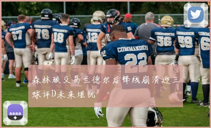 森林狼交易兰德尔后锋线崩溃迎三球评D未来堪忧